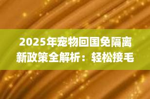 2025年宠物回国免隔离新政策全解析：轻松接毛孩子回家！