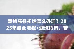 宠物高铁托运怎么办理？2025年最全流程+避坑指南，带“毛孩子”轻松出行！