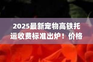 2025最新宠物高铁托运收费标准出炉！价格、流程、注意事项全解析（附省钱攻略）