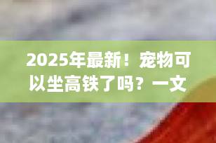 2025年最新！宠物可以坐高铁了吗？一文读懂高铁宠物托运全流程（附保姆级攻略）