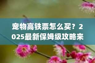 宠物高铁票怎么买？2025最新保姆级攻略来了！（附预约流程+费用详解）