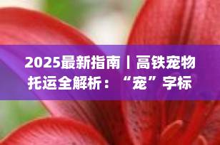 2025最新指南｜高铁宠物托运全解析：“宠”字标识怎么认？费用、条件、流程一文说清！