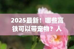 2025最新！哪些高铁可以带宠物？人宠同车全攻略来了（附办理指南+热门线路）
