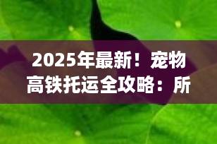 2025年最新！宠物高铁托运全攻略：所需手续、办理流程及注意事项详解