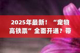 2025年最新！“宠物高铁票”全面开通？带毛孩子坐高铁全攻略来了，预约方式+费用+注意事项一次讲清！