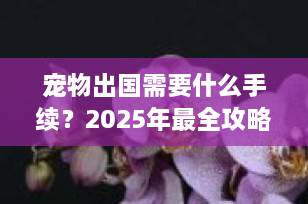 宠物出国需要什么手续？2025年最全攻略+避坑指南（建议收藏）
